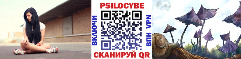Псилоцибиновые грибы Psilocybine cubensis  Верхняя Пышма 